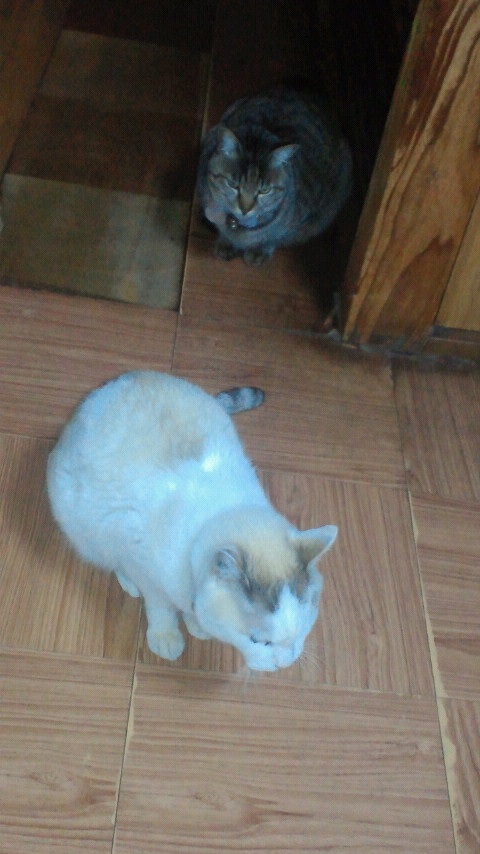 ��=��=��=�S(��^�E��E^)��Ƭΰ