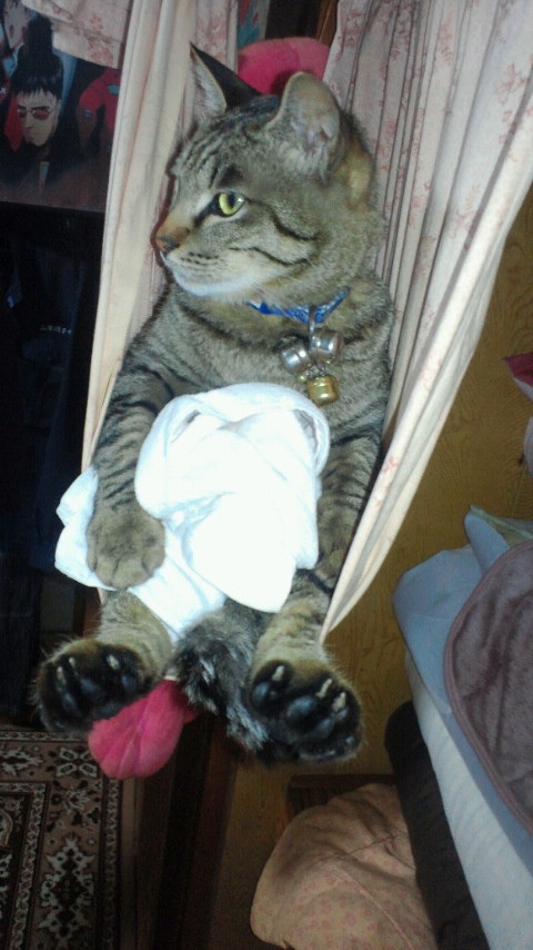 ����A����[��