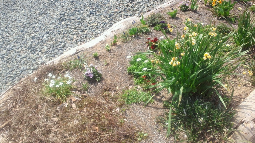 �O���Ȃ��B�Ȃ̂ł�(�L�ցM)