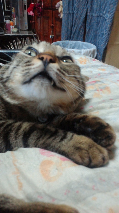 (=���F��=) Ӥӳ���