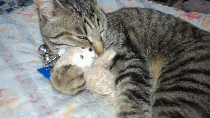 ���イ���I