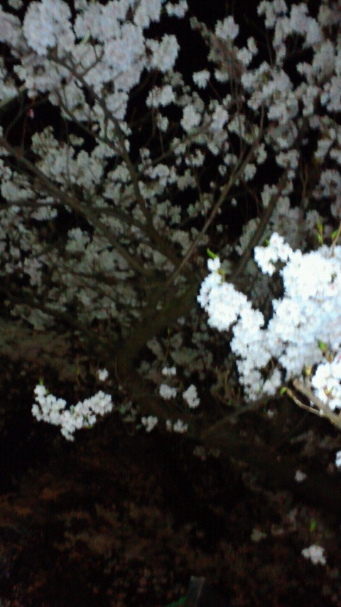 ���C�g�A�b�v�������ꂽ���c