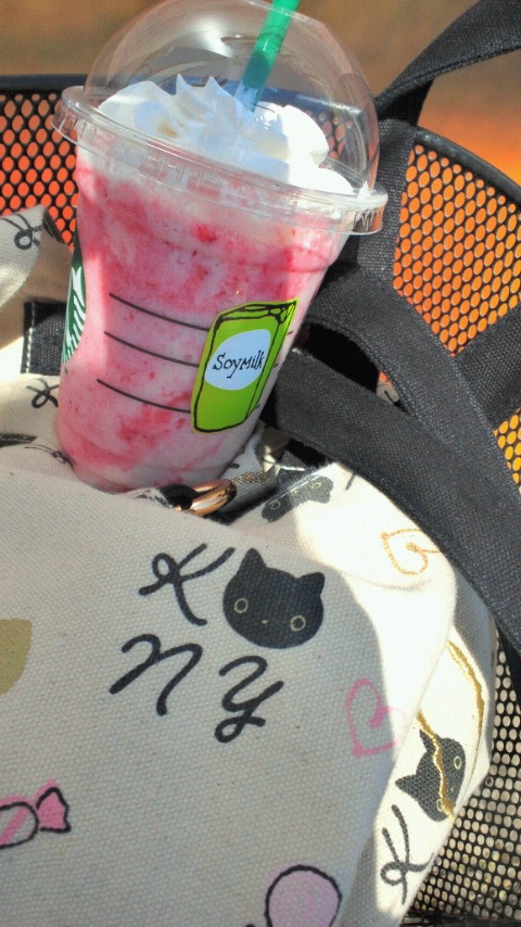 �������Ƃ��͎Ԃōs�����Ƃɂ����E�E�E