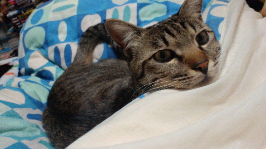 ���炤��c