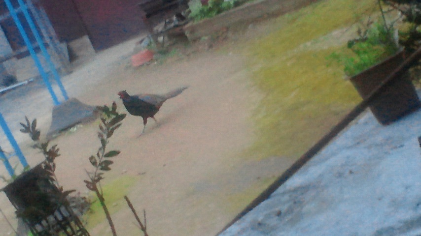 �v�������傫�Ȓ��ł���ˁB