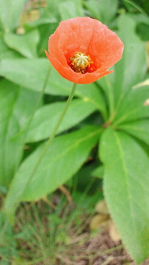 �C�������璩�������c