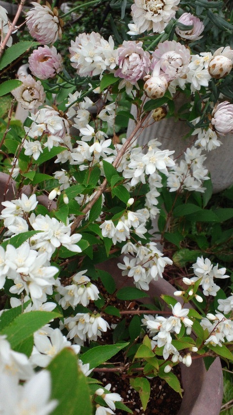 �m���Ɂc�����B