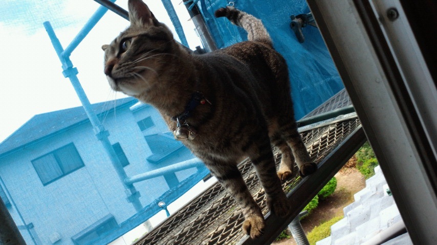 ���U���ɂႤ�B