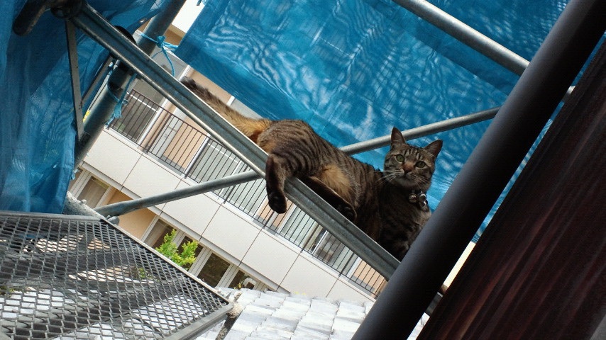 �ЂƋx�݂ɂႤ�B