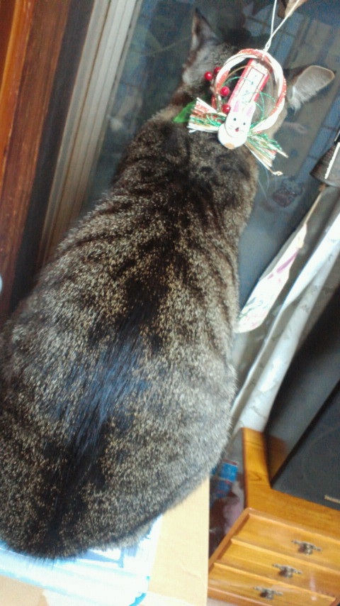 �����ɂ��̓����߂ł����Ȃ�������www