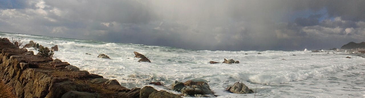 �������c