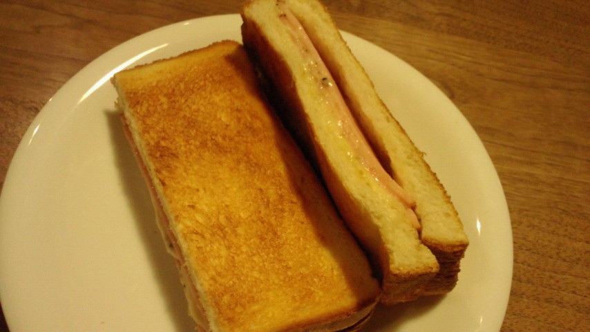 �q�g�g�i���Ȃ��B