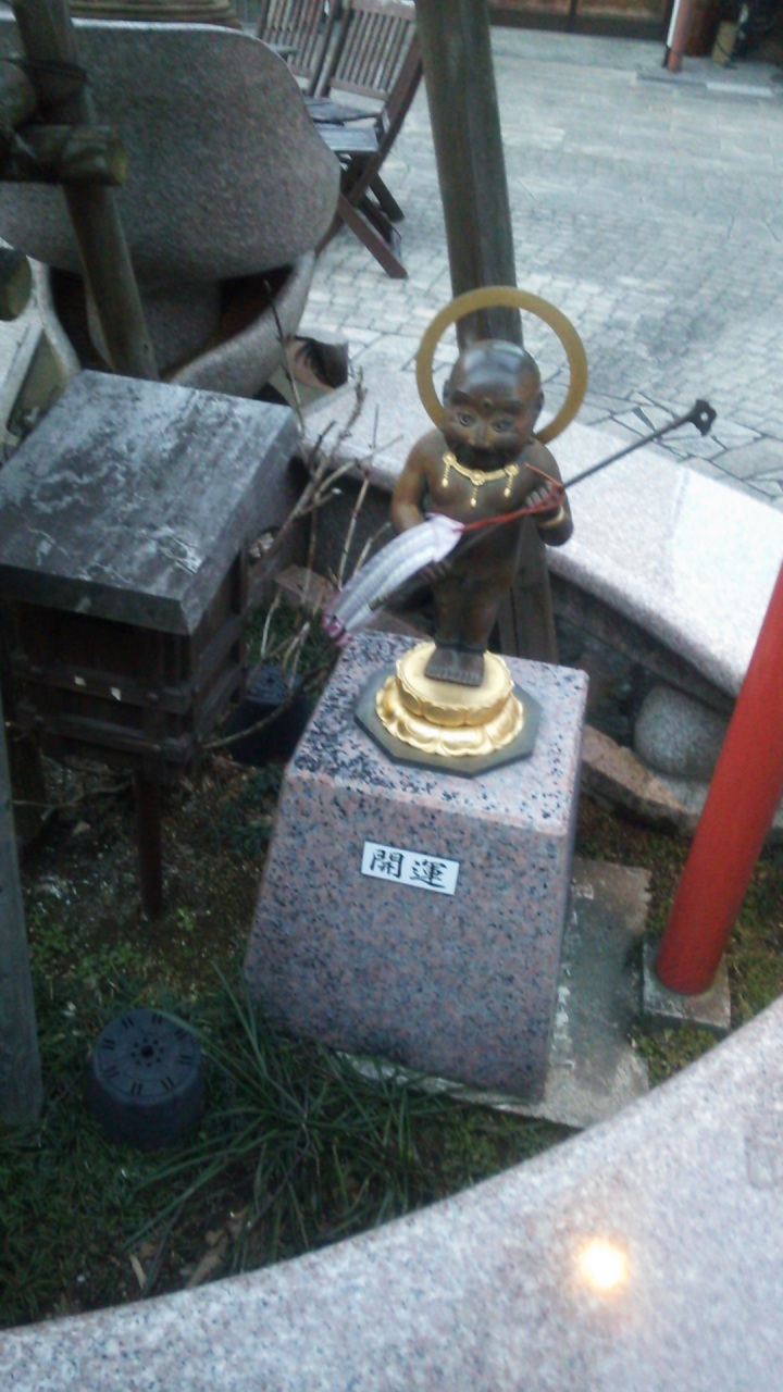 �J�^����