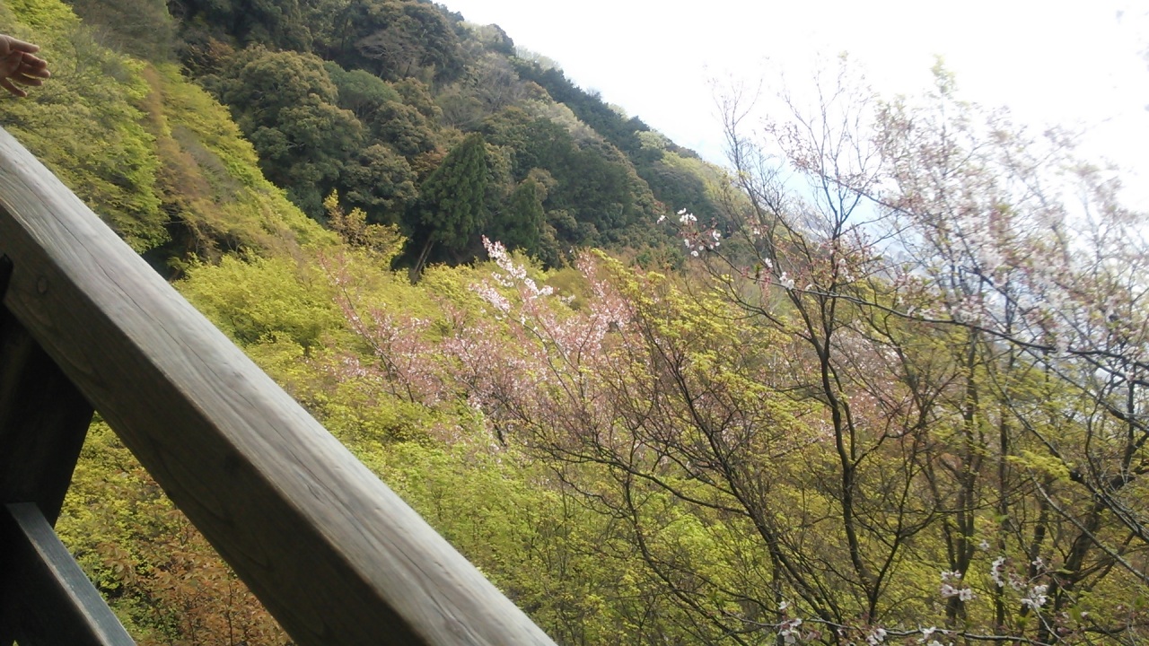 �����̕���Ȃ��B