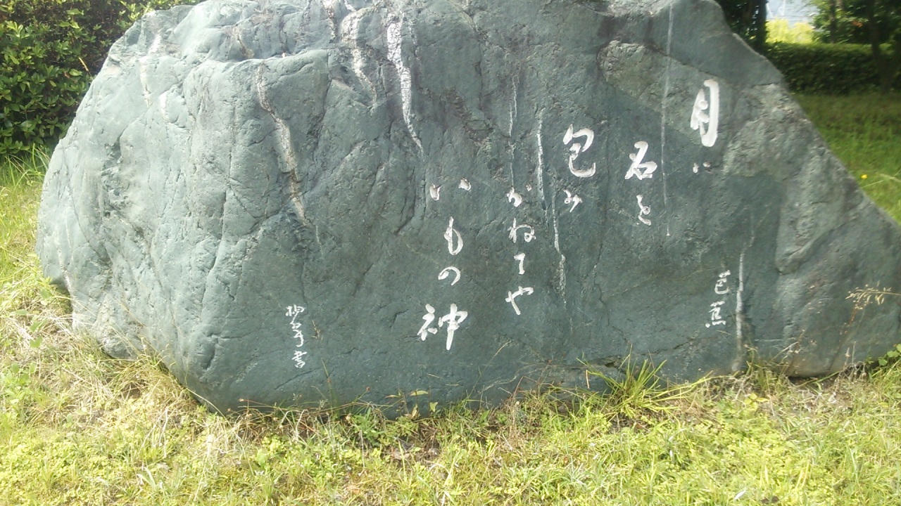 �m�Ԃ���̋�Ό�����