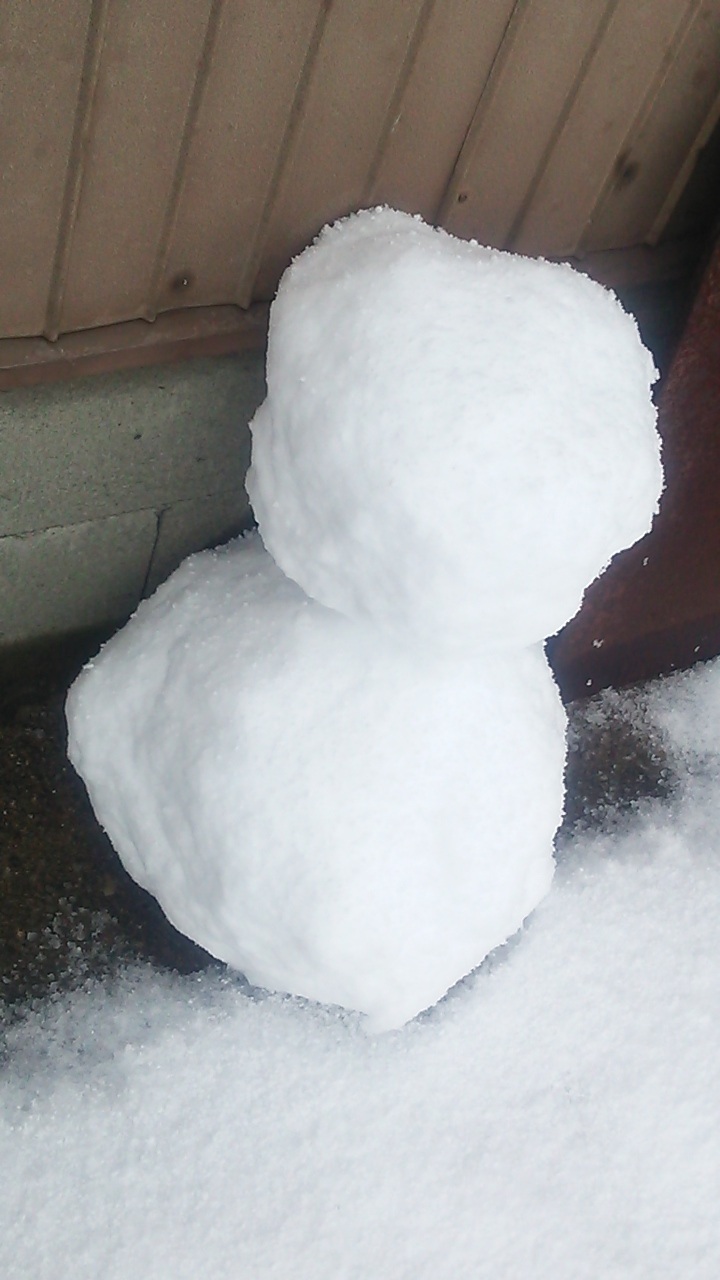 ��������c