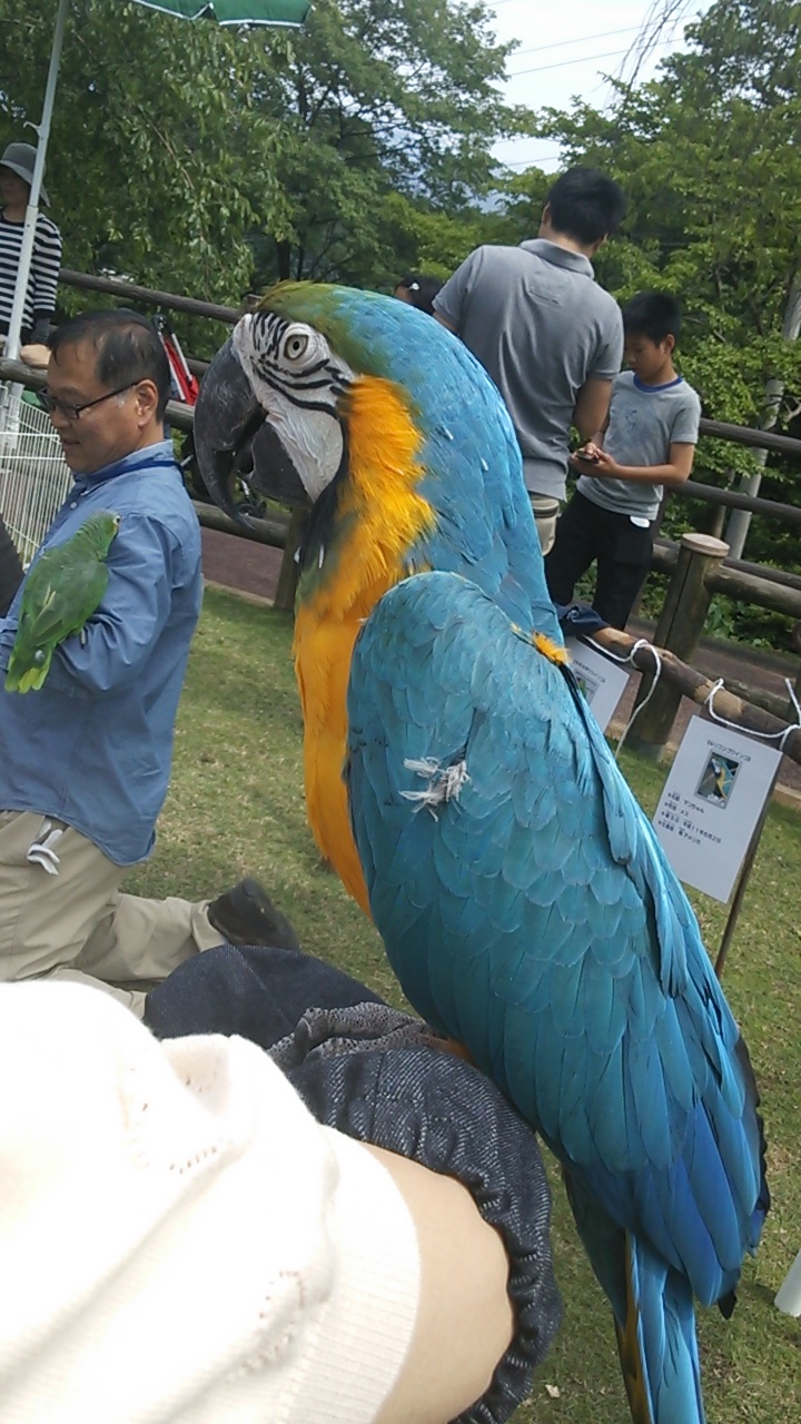 ���H�R�������킸�B