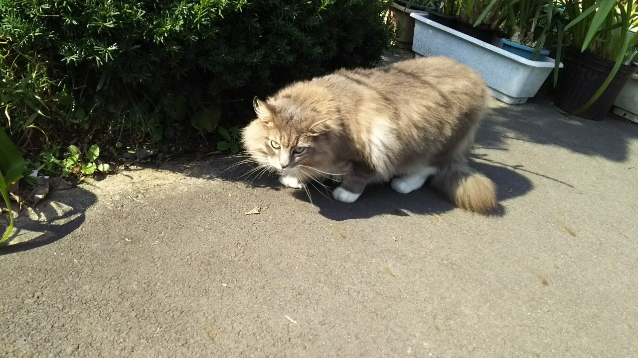 ��a�����킸�B